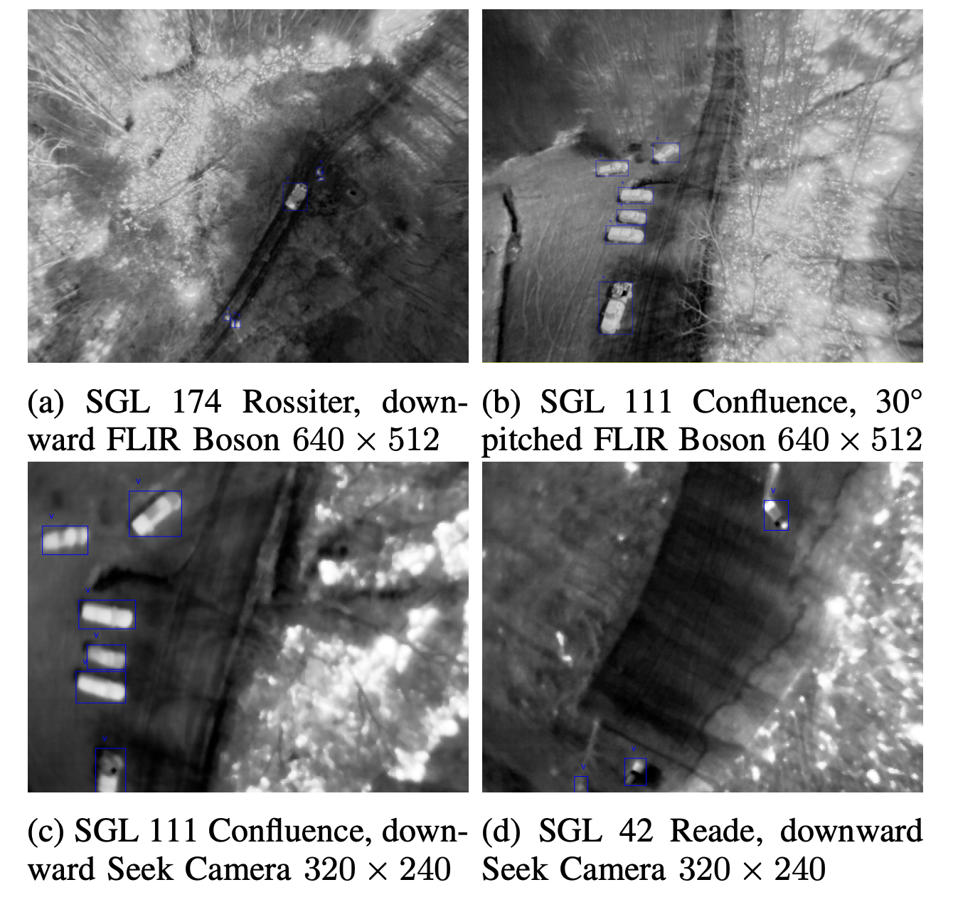 Examples of Labelled Images